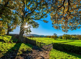 Do czego służy tor boczny? Do czego służy tor boczny?