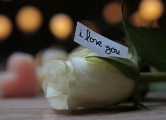 Czy jadąc do Czech trzeba mieć dowód osobisty? Czy jadąc do Czech trzeba mieć dowód osobisty?