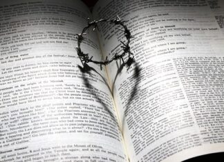 ILE TO zł 1 korona? ILE TO zł 1 korona?