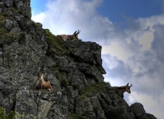 Kiedy najlepiej iść na Czerwone Wierchy? Kiedy najlepiej iść na Czerwone Wierchy?