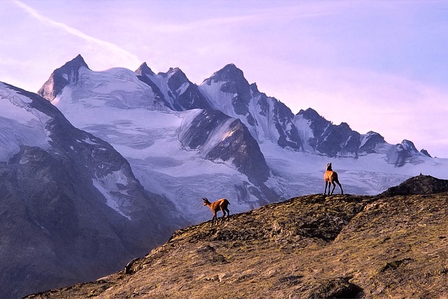 Kiedy jechać na trekking w Himalaje?