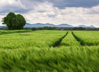 Dlaczego bolą kolana przy schodzeniu ze schodów? Dlaczego bolą kolana przy schodzeniu ze schodów?