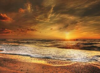 Ile wart jest złoty? Ile wart jest złoty?