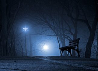 Czy Polska walczyła z Czechami? Czy Polska walczyła z Czechami?