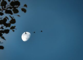 Co to jest nielegalna migracja? Co to jest nielegalna migracja?