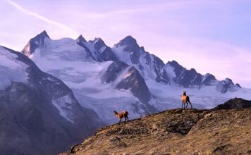 Jakie trekkingi kupić?