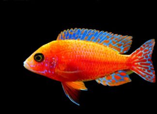 Czy wejście na karb jest trudne? Czy wejście na karb jest trudne?