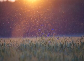 Jak korzystać z Komoot? Jak korzystać z Komoot?