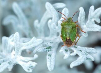 Gdzie na tanie wakacje all inclusive? Gdzie na tanie wakacje all inclusive?