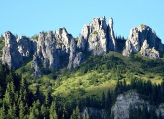 Ile kosztuje wejście do Doliny Chochołowskiej?
