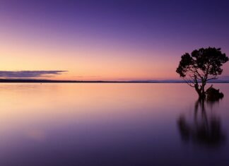 Ile wody jest w śniegu? Ile wody jest w śniegu?