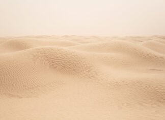 Co kupić w Tunezji forum? Co kupić w Tunezji forum?