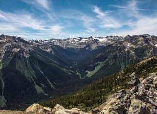 Jaki sport Rzeźbi brzuch?