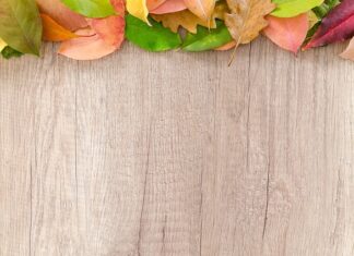 Co warto zobaczyć przy granicy polsko-czeskiej?