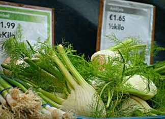 Co to znaczy absynt? Co to znaczy absynt?