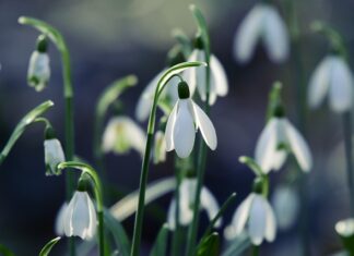 O której 18 latek powinien wracać do domu? O której 18 latek powinien wracać do domu?