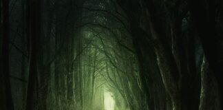 Ile czasu potrzeba na przejście 10 km?