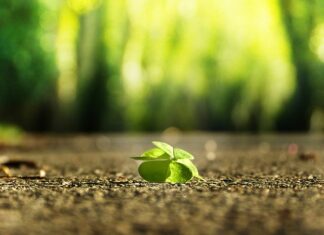 Jak znaleźć wodę w lesie? Jak znaleźć wodę w lesie?