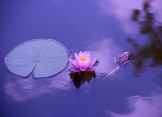 Jaki sport na stawy kolanowe? Jaki sport na stawy kolanowe?