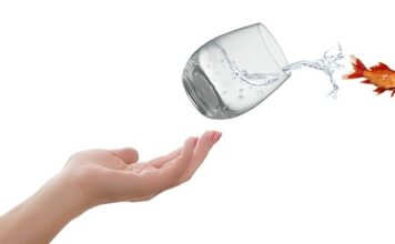 Czy na podstawie akt urodzenia wystarczy do przekroczenia granicy?