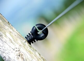 Jak obcokrajowcy nazywają Polaków? Jak obcokrajowcy nazywają Polaków?