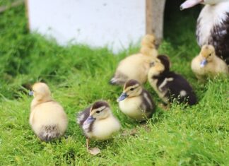 Gdzie na jednodniowy wypad w góry? Gdzie na jednodniowy wypad w góry?
