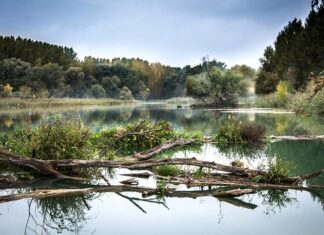 Co warto zobaczyć na Słowacji blisko Zakopanego?